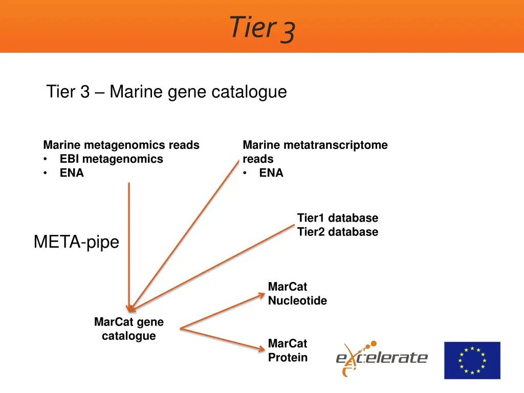 tier 3