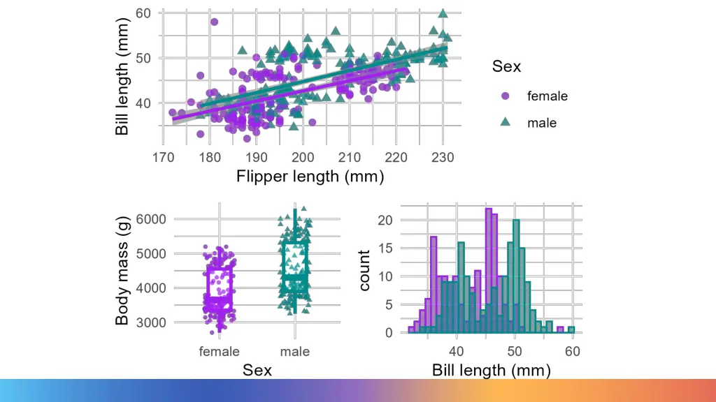 slide17
