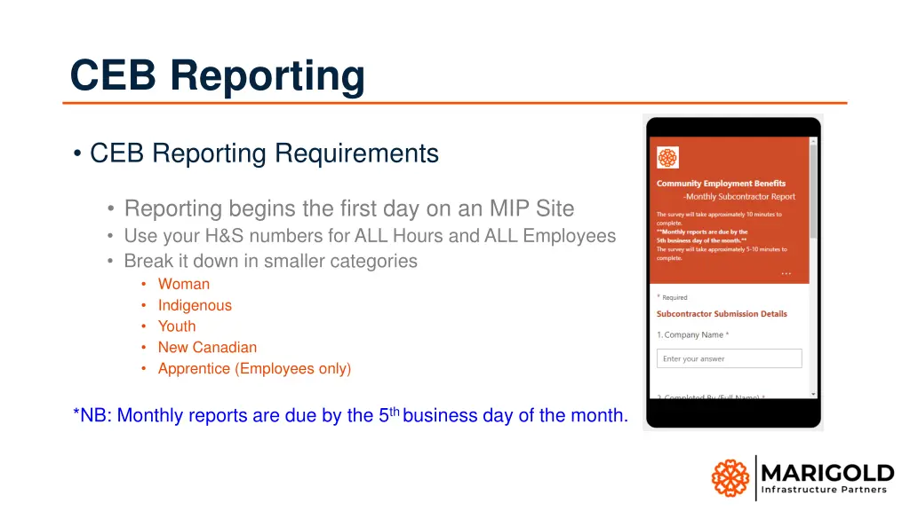 ceb reporting
