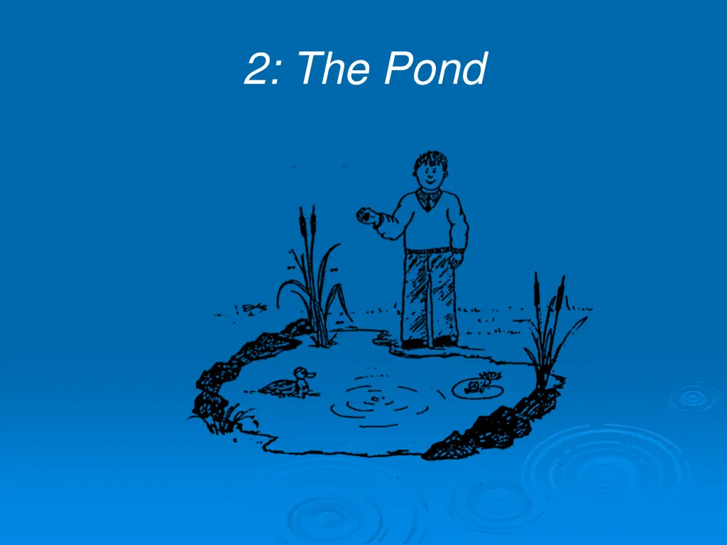 2 the pond
