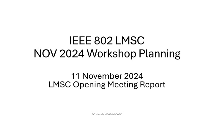 ieee 802 lmsc nov 2024 workshop planning
