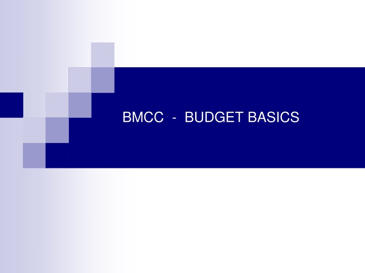 bmcc budget basics