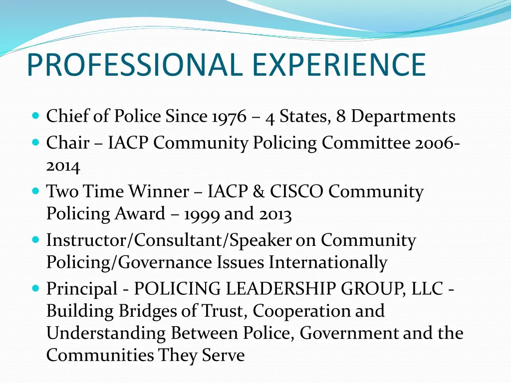 professional experience