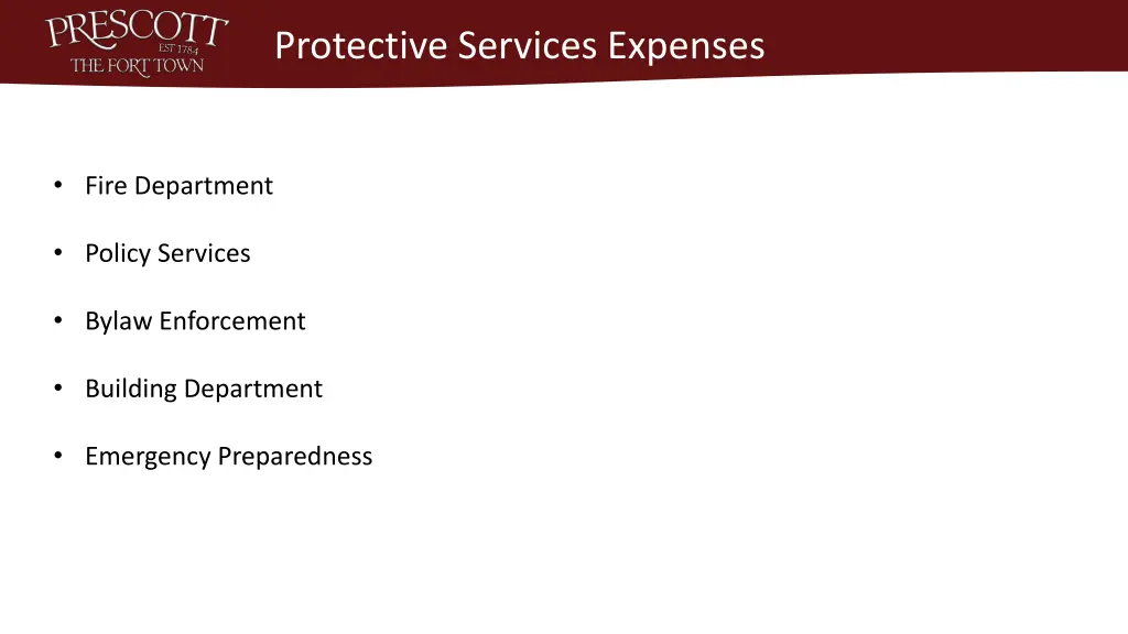 protective services expenses