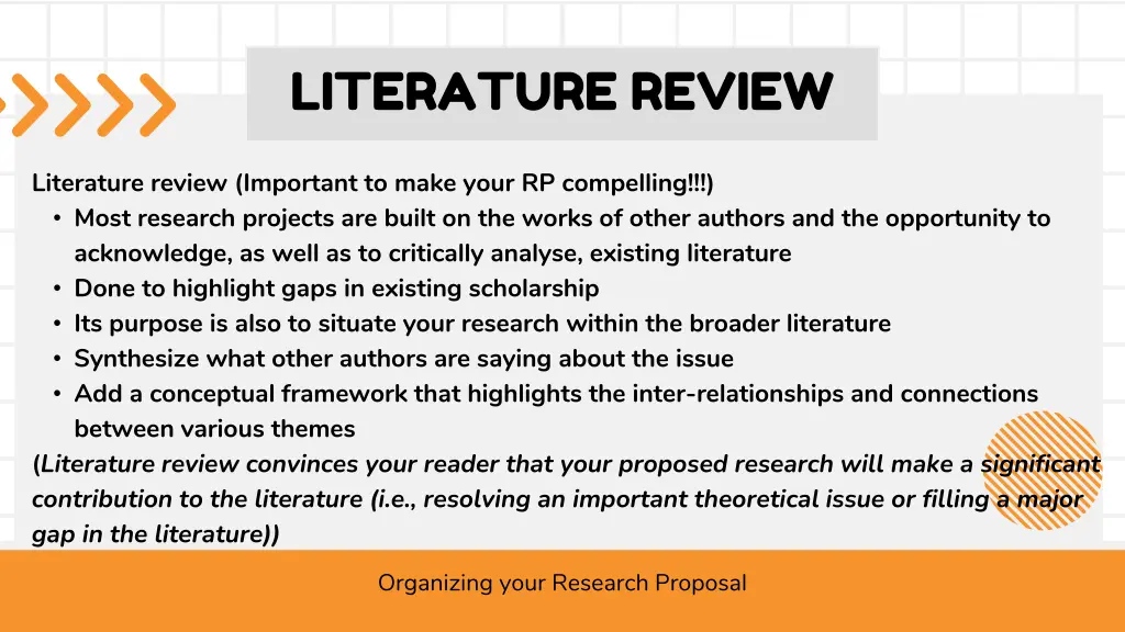 literature review
