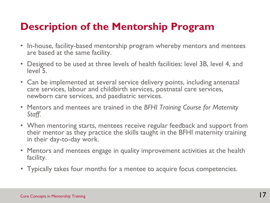 description of the mentorship program