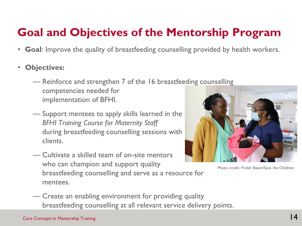 goal and objectives of the mentorship program