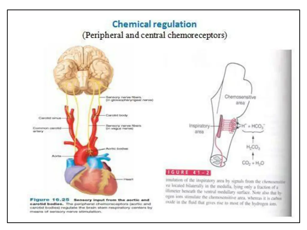 slide7