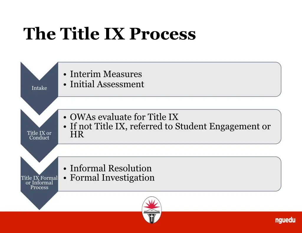 the title ix process