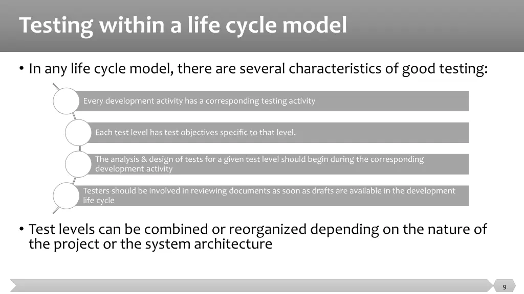 testing within a life cycle model