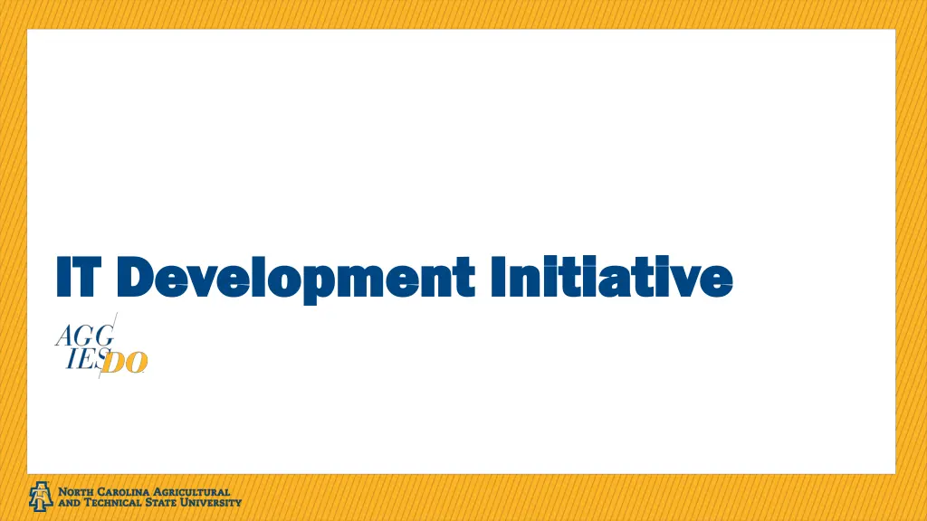 it development initiative it development