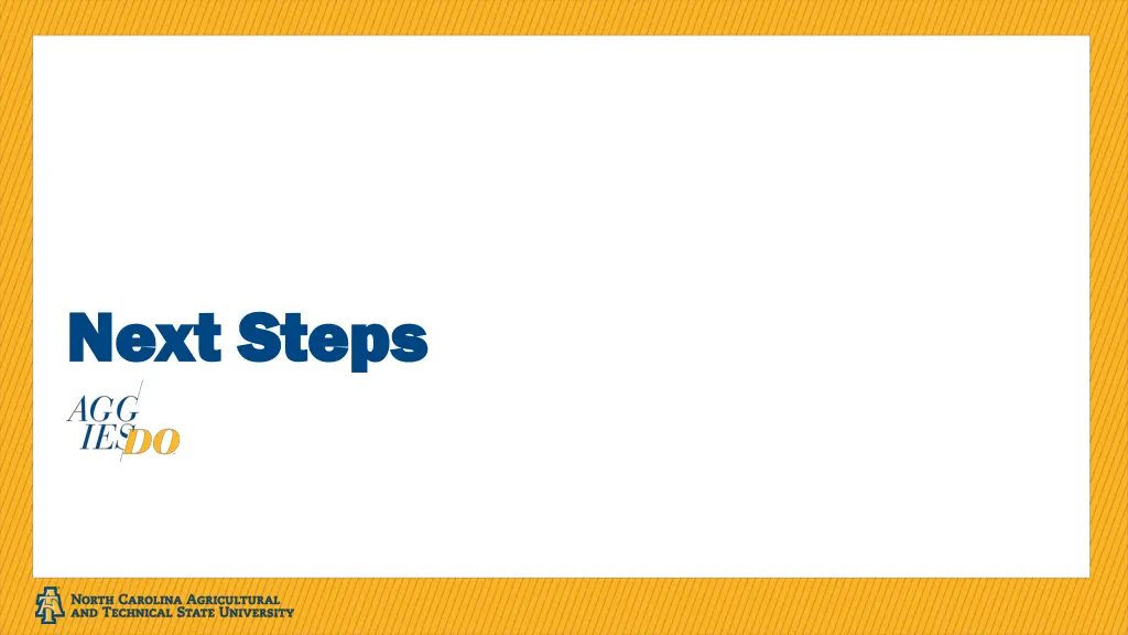 next steps next steps