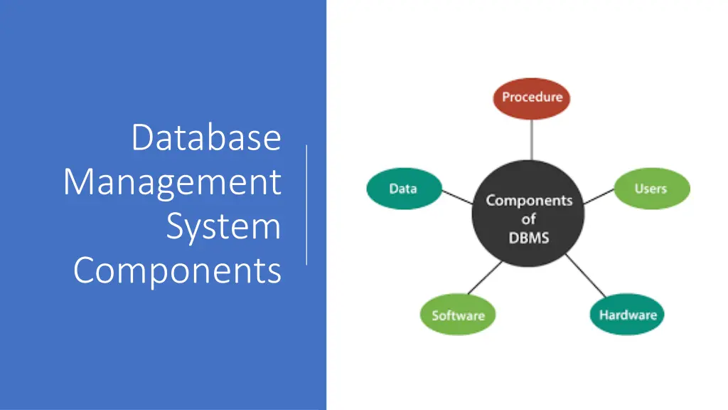 database management system components