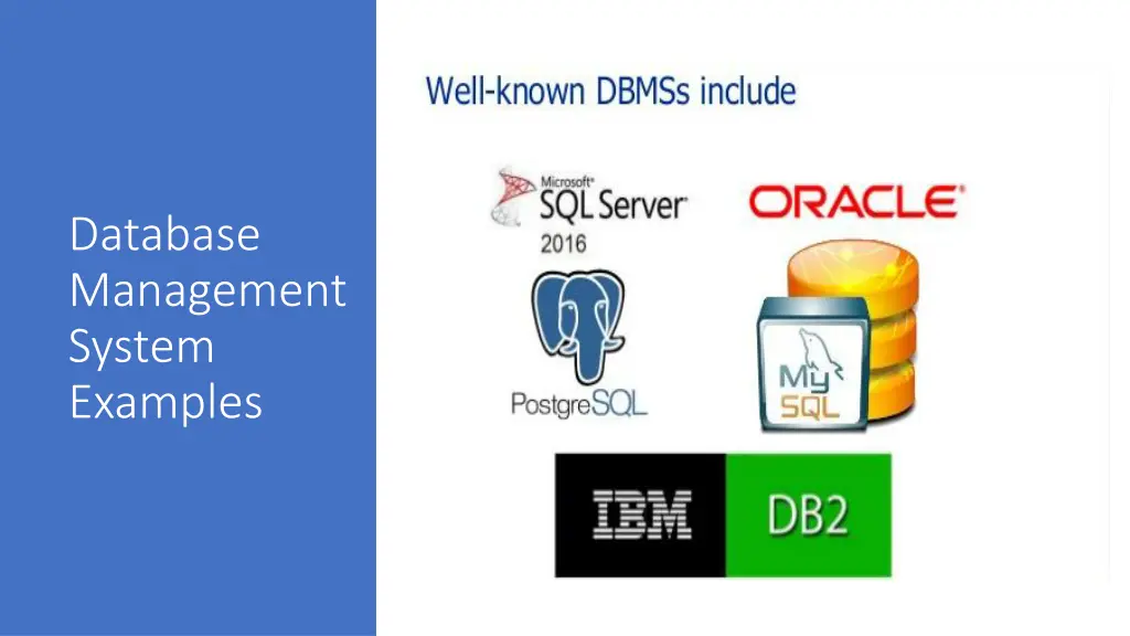 database management system examples