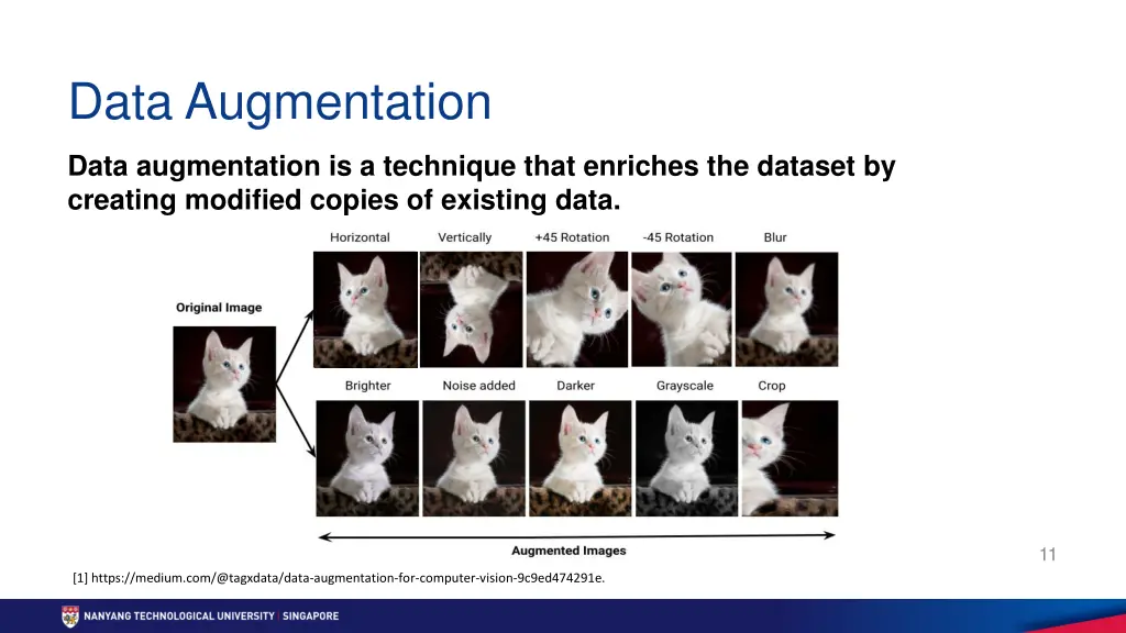 data augmentation