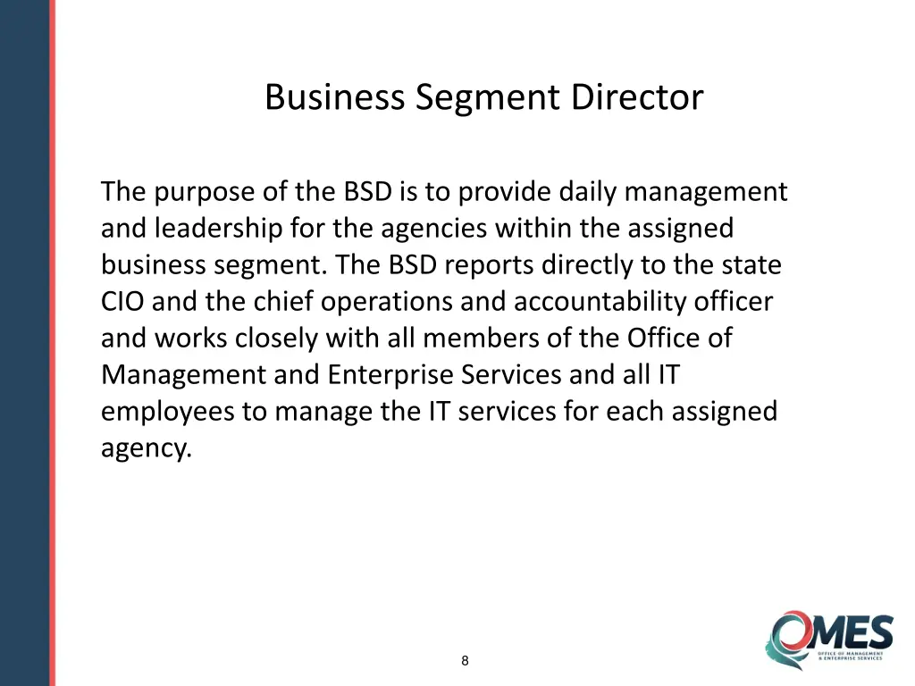 business segment director