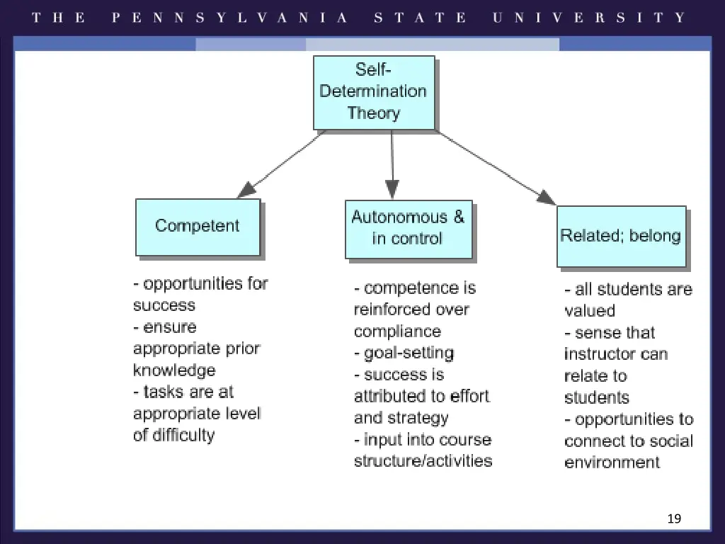 slide19