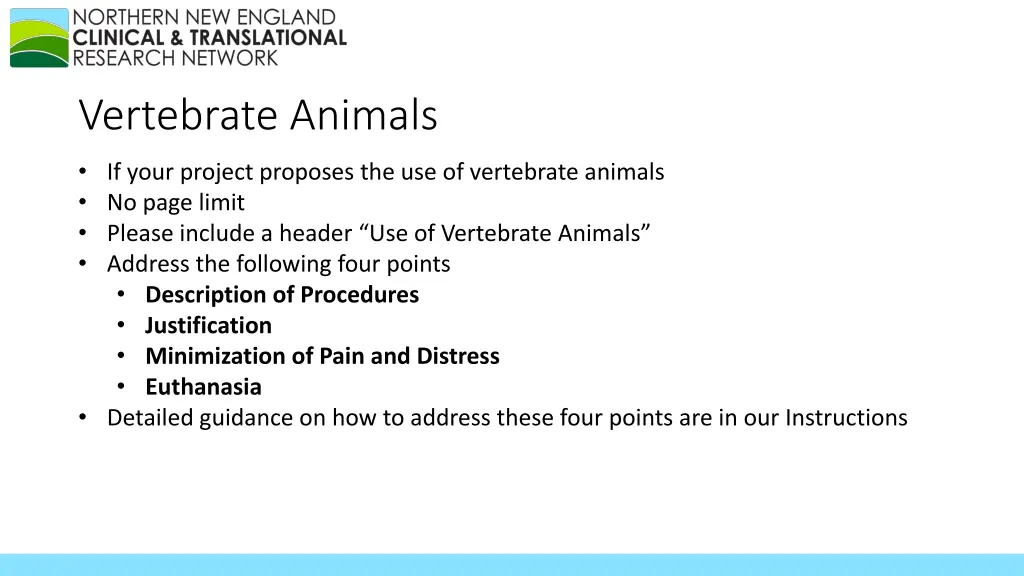 vertebrate animals