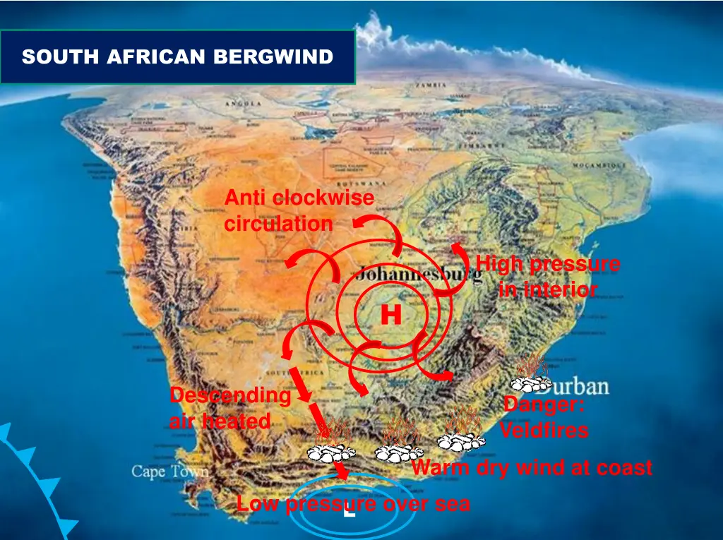 south african bergwind
