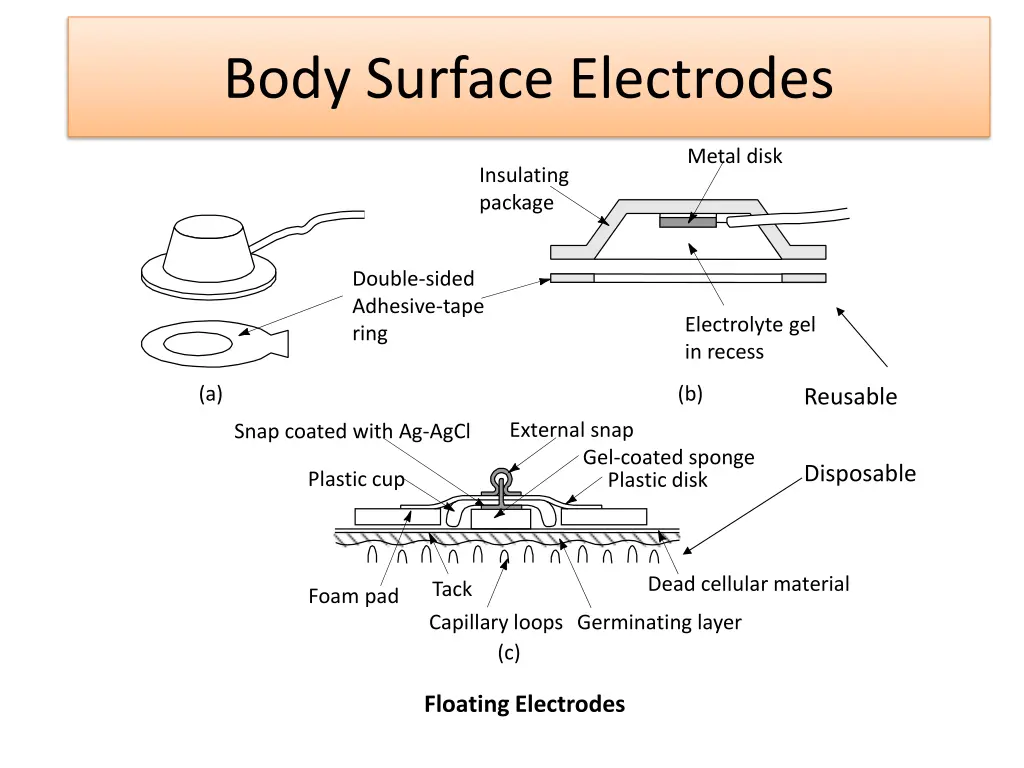 body surface electrodes 8