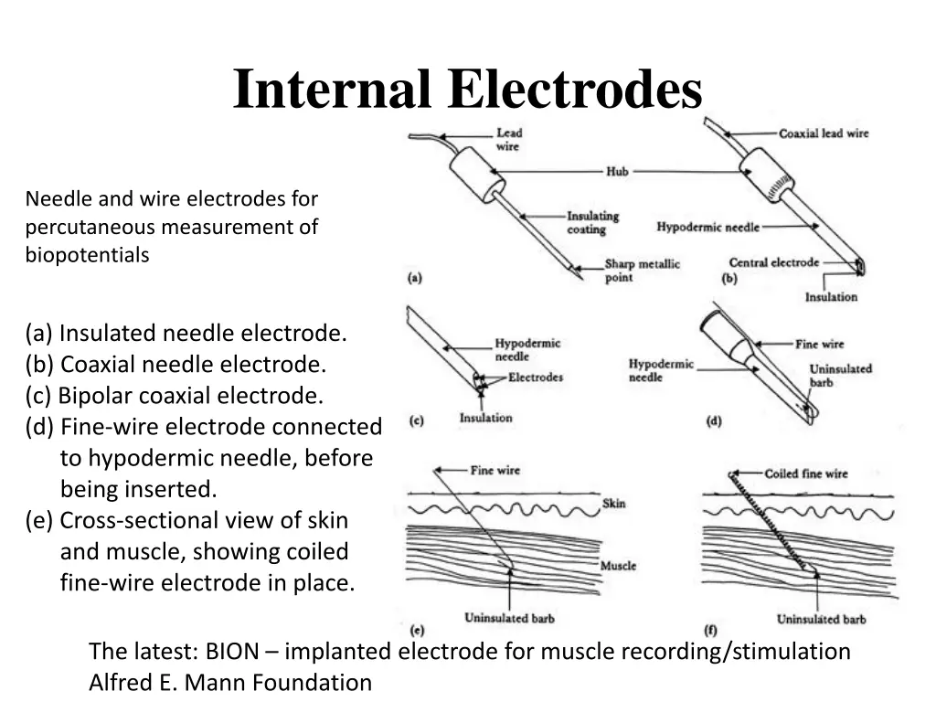 internal electrodes