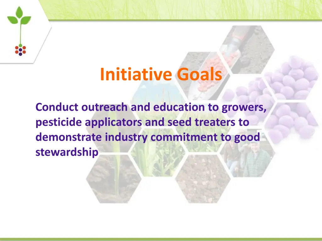 initiative goals