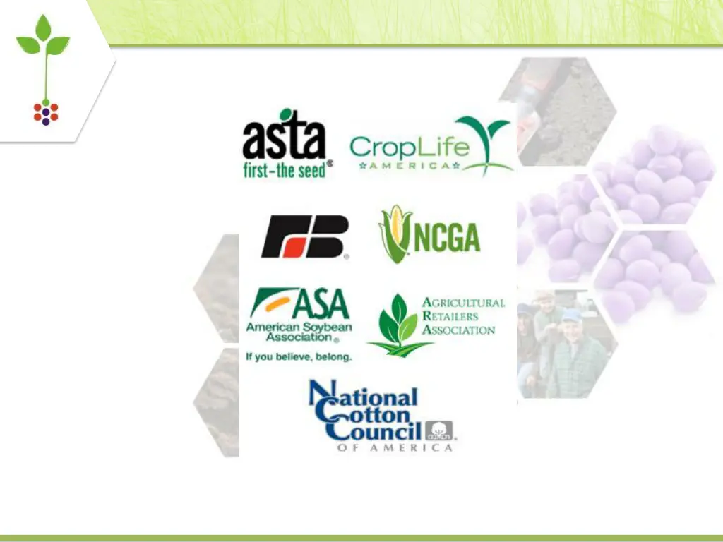 slide7