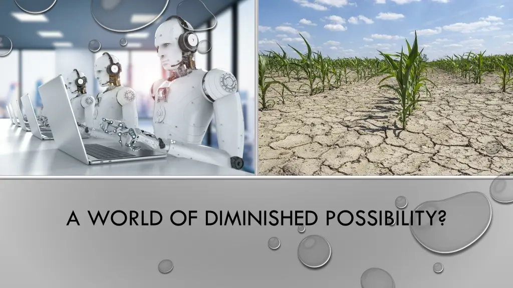 a world of diminished possibility