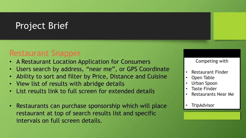 project brief