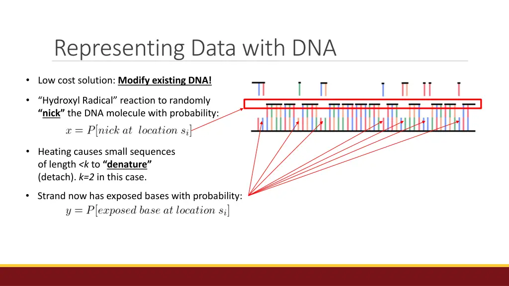representing data with dna