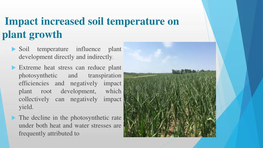 impact increased soil temperature on plant growth