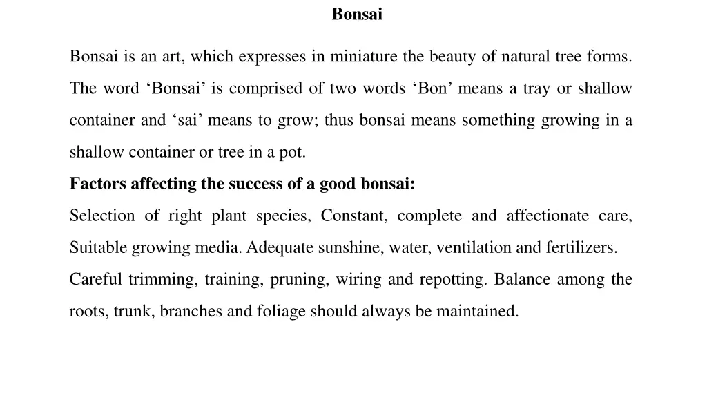 bonsai