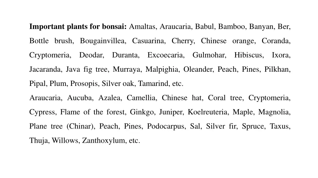 important plants for bonsai amaltas araucaria