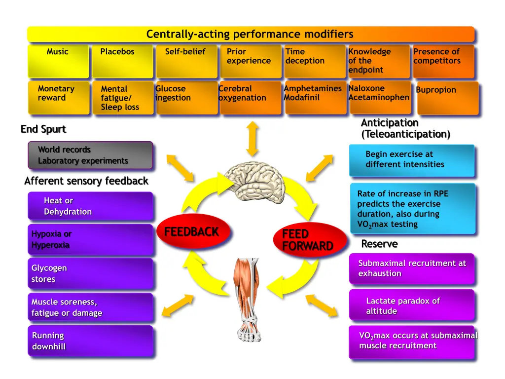 centrally acting performance modifiers