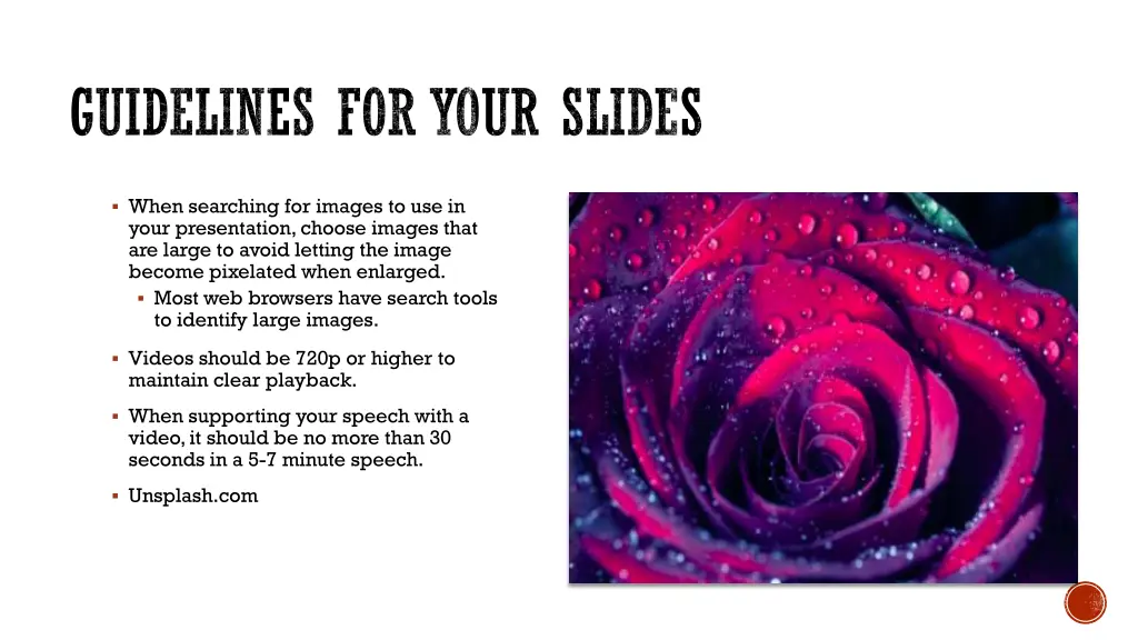 guidelines for your slides 2