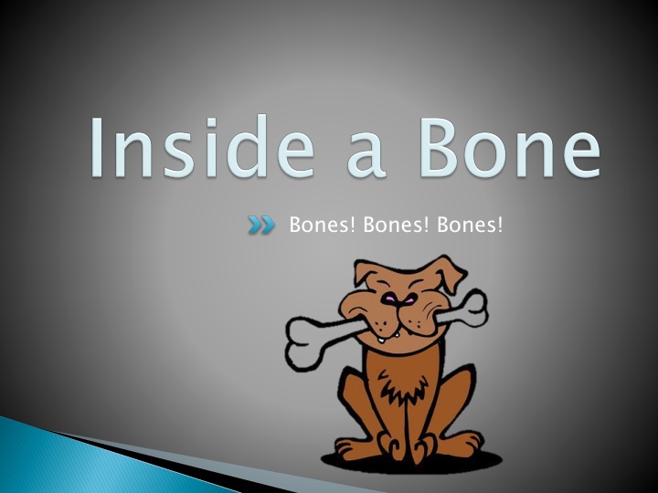 bones bones bones