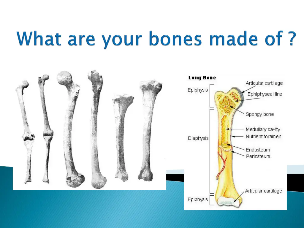 slide2