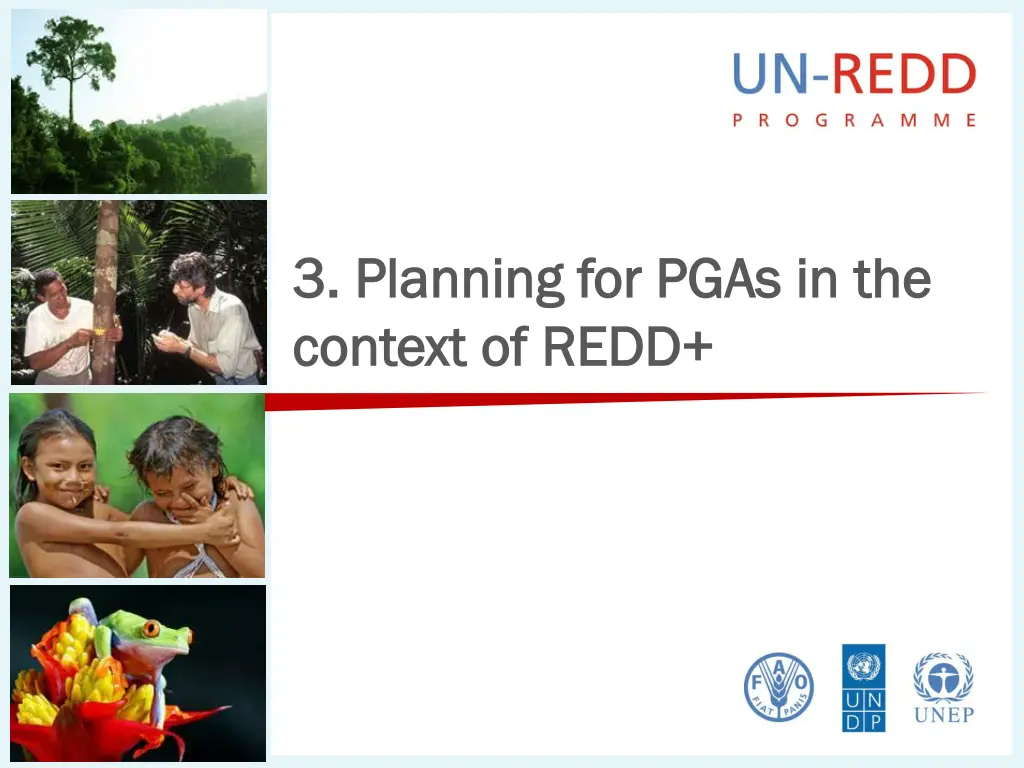 3 planning for pgas in the 3 planning for pgas