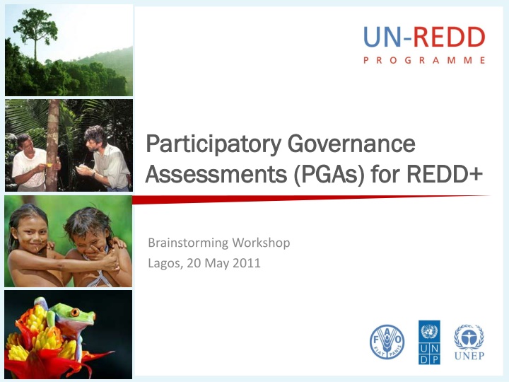 participatory governance participatory governance