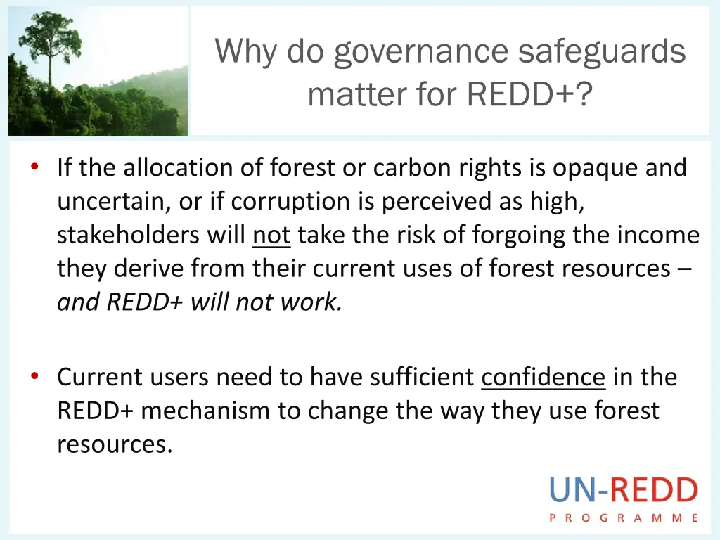 why do governance safeguards matter for redd