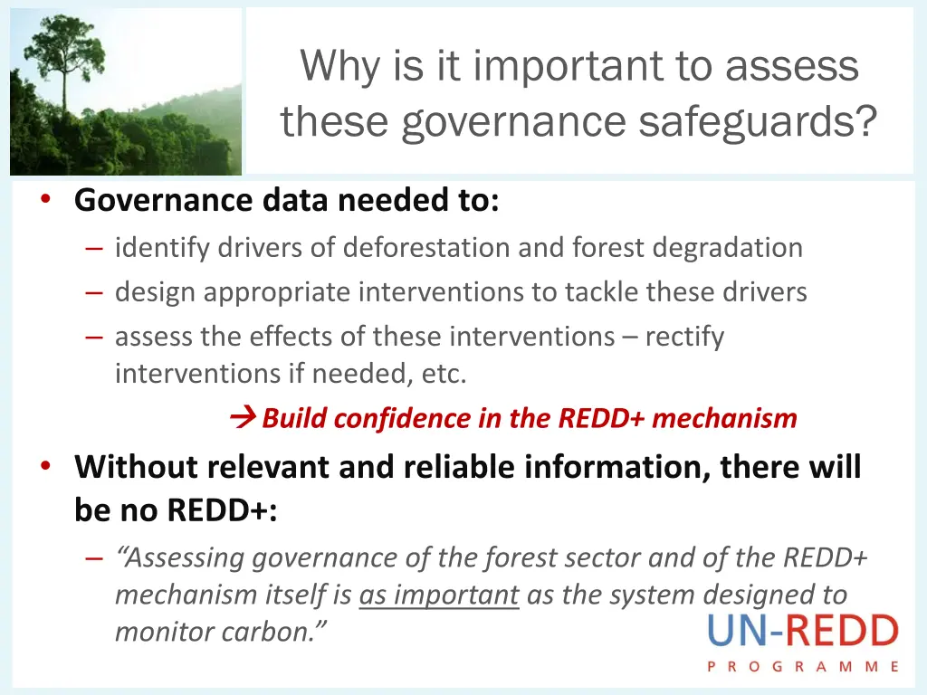why is it important to assess these governance
