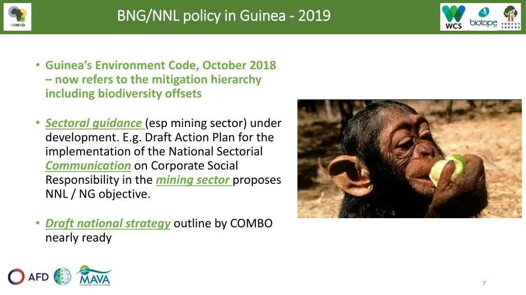 bng nnl policy in guinea bng nnl policy in guinea