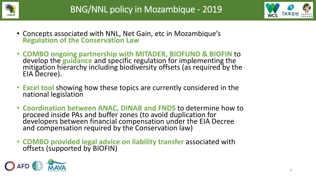 bng nnl policy in mozambique bng nnl policy