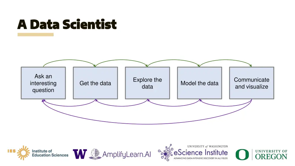 a data scientist a data scientist 5