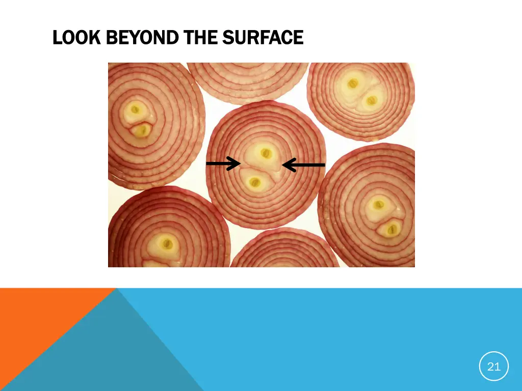 look beyond the surface look beyond the surface