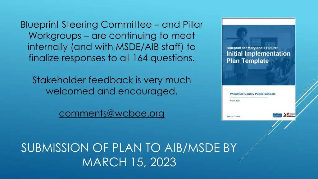 blueprint steering committee and pillar