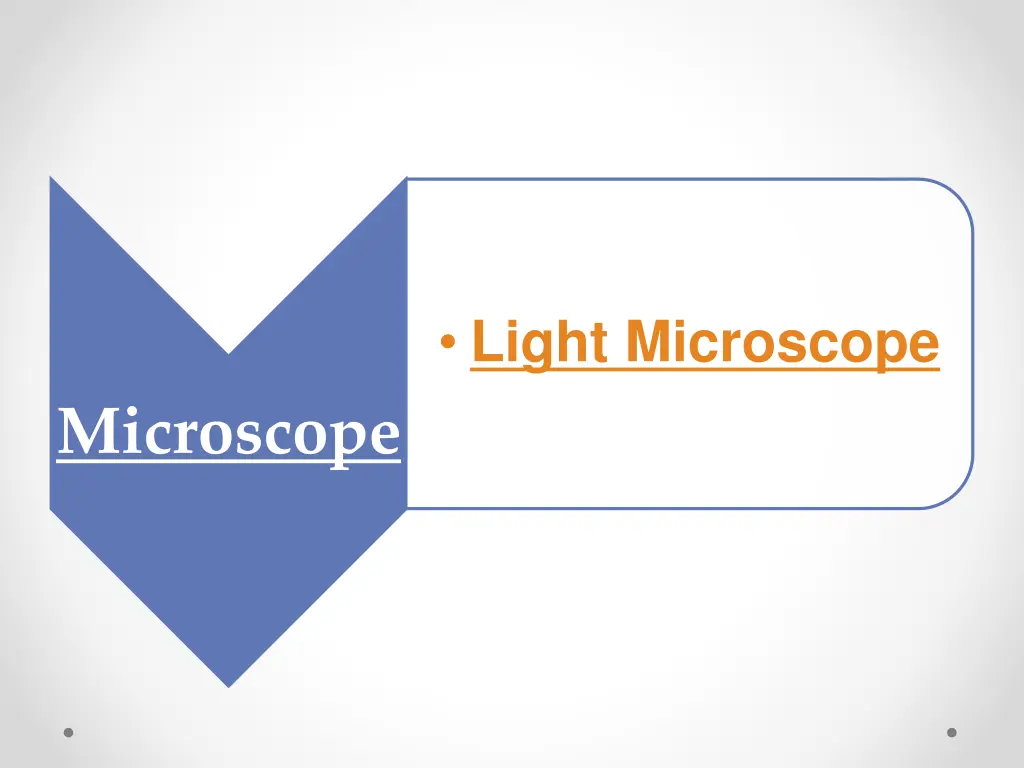 light microscope