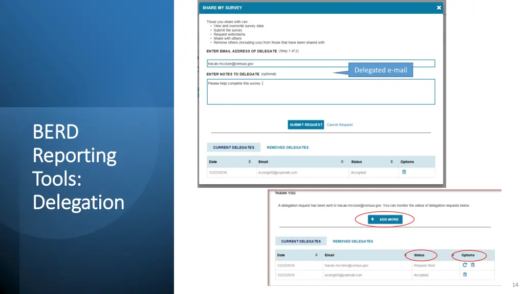 delegated e mail