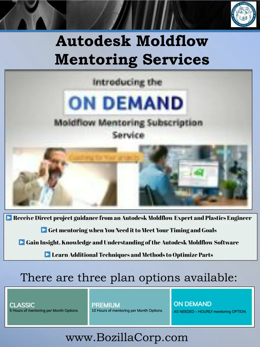 autodesk moldflow mentoring services