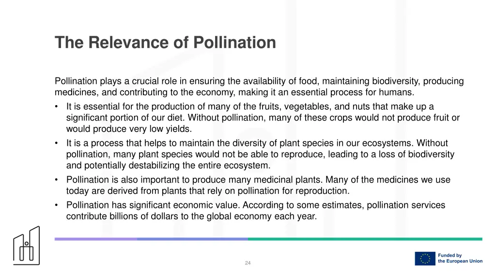 the relevance of pollination
